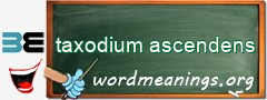 WordMeaning blackboard for taxodium ascendens